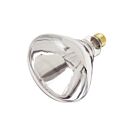 Satco S4999 250W R40 Incandescent Reflectors 2700K