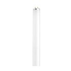 Satco S6579 20W T12 Fluorescent Bulb 4100K