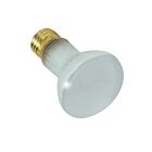 Satco S7001 100W R20 Incandescent Pool Lamp 
