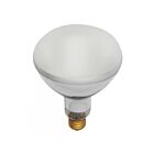 Satco S7006 400W BR40 Incandescent Pool Lamp 2700K