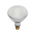 Satco S7007 500W BR40 Incandescent Pool Lamp 2700K