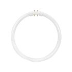 Satco s8157 22w T5 Circline High Performance Lamp 4100K