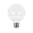 Satco S9203 6W G25 Frosted LED Bulb 5000K