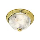 Nuvo Lighting SF76-024 2-Lights 120W Polished Brass Ceiling Flush Mount