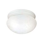 Nuvo Lighting SF76-613 2-Lights 120W Textured White Ceiling Flush Mount