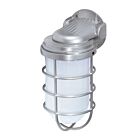 Satco Sf76-622 300W Metallic Silver Vapor Proof Wall Mount