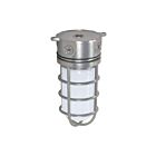 Satco Sf76-624 100W Metallic Silver Vapor Proof Ceiling Mount