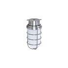 Satco Sf76-626 200W Metallic Silver Vapor Proof Ceiling Mount