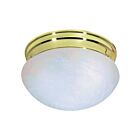 Nuvo Lighting SF76-675 2-Lights 120W Polished Brass Medium Mushroom Ceiling Flush Mount