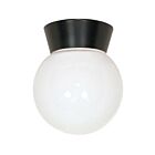 Nuvo Lighting SF77-157 1-Light 60W Black Flush Mount