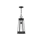 Savoy House 5-208-BK 1-Light 60W Matte Black Outdoor Hanging Lantern