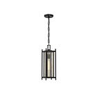 Savoy House 5-3806-BK Jacobs 1-Light 60W Black Incandescent/LED Outdoor Pendant