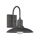 Savoy House 5-5031-1-32 Mica 1-Light 60W Artisan Rust Outdoor Wall Lantern