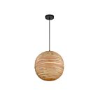 Savoy House 7-2804-1-89 Pharr 1-Light 60W Matte Black Incandescent/LED Pendant