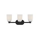 Savoy House 8-1245-3-BK Baldwin 3-Lights 60W Black Incandescent/LED Vanity Light