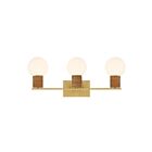 Savoy House 8-4081-3-322 Jarrell 3-Lights 60W Brass Incandescent/LED Vanity Light