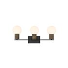 Savoy House 8-4081-3-BK Jarrell 3-Lights 60W Black Incandescent/LED Vanity Light