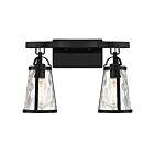 Savoy House 8-560-2-BK Albany 2-Lights 120W Black Vanity Light