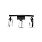 Savoy House 8-560-3-BK Albany 3-Lights 180W Black Vanity Light