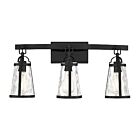 Savoy House 8-560-3-BK Albany 3-Lights 180W Black Vanity Light