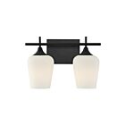 Savoy House 8-6030-2-BK Octave 2-Lights Black Vanity Light Fixture