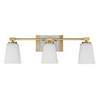Savoy House 8-6901-3-322 Darby 3-Lights 180W Warm Brass Vanity Light