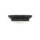 Savoy House Meridian M60063MBK 2-Lights 120W Matte Black Flush Mount