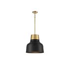 Savoy House Meridian  M70115MBKNB 1-Lights 60W Matte Black with Natural Brass Pendant