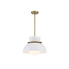 Savoy House Meridian  M7026NB 1-Lights 60W Natural Brass Pendant