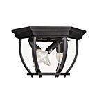 Savoy House Meridian M50059BK 3-Lights 120W Black Outdoor Flush Mount