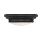 Savoy House Meridian M60063MBK 2-Lights 120W Matte Black Flush Mount