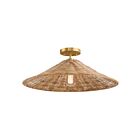 Savoy House Meridian M60074NB 1-Light 60W Natural Brass Semi Flush Mount