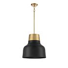 Savoy House Meridian  M70115MBKNB 1-Lights 60W Matte Black with Natural Brass Pendant