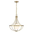 Savoy House M7047NB 1-Light 60W Natural Brass Pendant