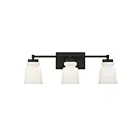 Savoy House Meridian M80058MBK 3-Lights 180W Matte Black Vanity Light
