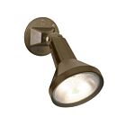 Satco Sf77-494 150W Bronze Adjustable Swivel Incandescent Flood Light