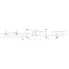 Sonneman SLS0002-SC02 35-Lights 70W Satin Black Chandelier