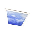 TCP DT4UZDCLOUD 46W 2' X 4' Cloud Design Panel