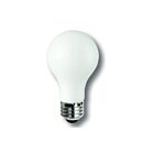 TCP FA19D4024E26SFR92 4.5W A19 LED Filament Lamp