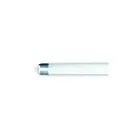 TCP LT812C50K 12W 4' LED Type-C T8 Tube