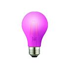 TCP RFLA19P 8W A19 LED Filament Lamp