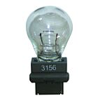 Techspan Tech-735137 Clear Incandescent Automotive Bulb (Pack of 10)