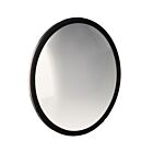 Techspan Tech-756023 Convex Mirror