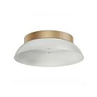 Turolight HS-VERS-12-WH-GD-CNP 12" White and Gold Canopy Trim