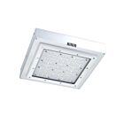 Venture Lighting cp91141 41w Breezeway Surface Canopy