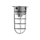 Votatec JVL100 100W A19 Cage Vapor-Proof Fixture