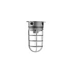 Votatec JVL100 100W A19 Cage Vapor-Proof Fixture