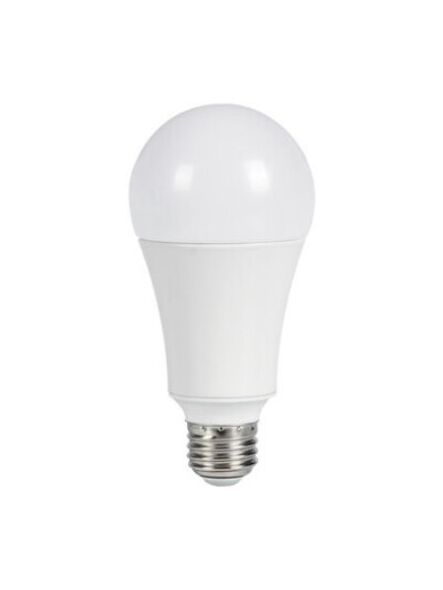 A21 Omni-Directional 25W 3000K