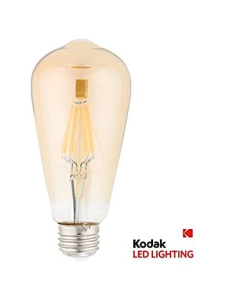 ST-40 Edison Bulb 40W 2700K