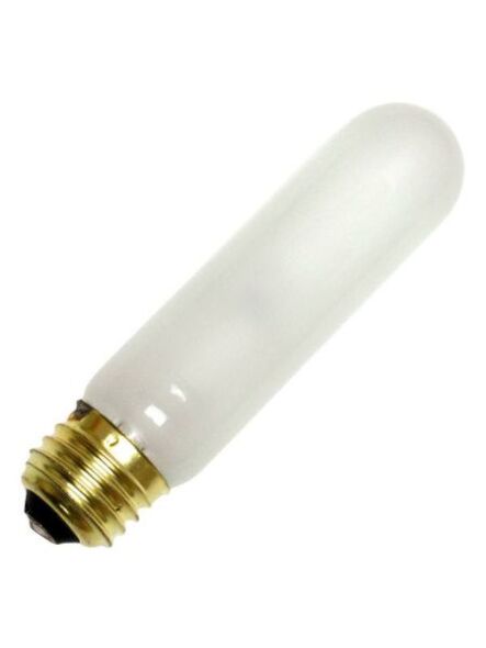 T10 Incandescent 25W 2700K